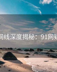 完整时间线深度揭秘：91网疑点解析