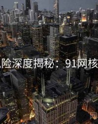 安全风险深度揭秘：91网核心看点