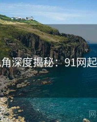 法律视角深度揭秘：91网起底真相