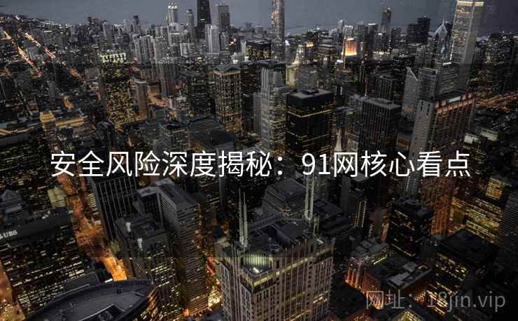安全风险深度揭秘：91网核心看点