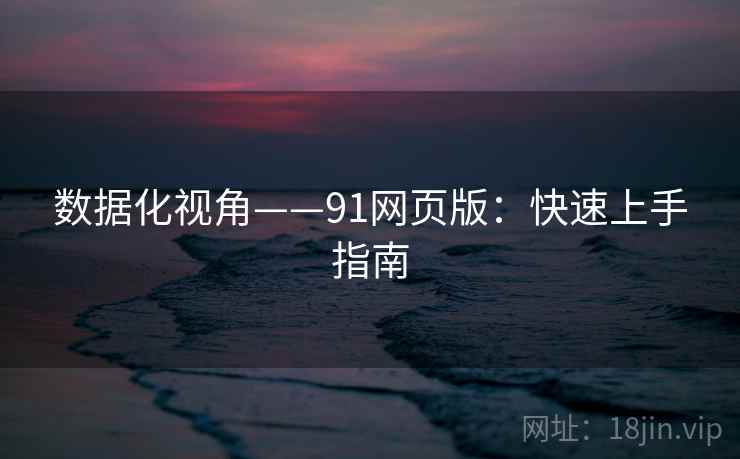 数据化视角——91网页版：快速上手指南